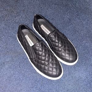 NEW Steve Madden Sneakers